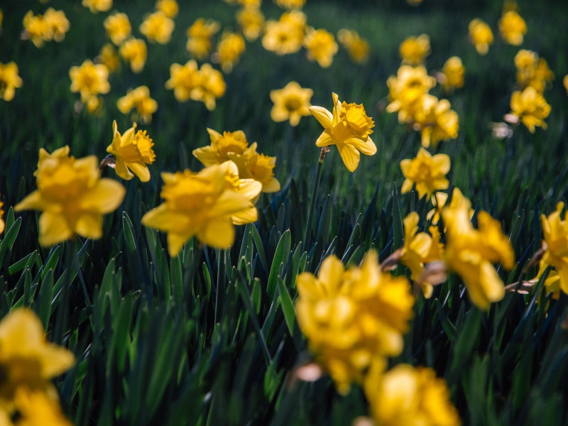 Aktuell &ndash; Ausgabe 384 vom 5. M&auml;rz 2026