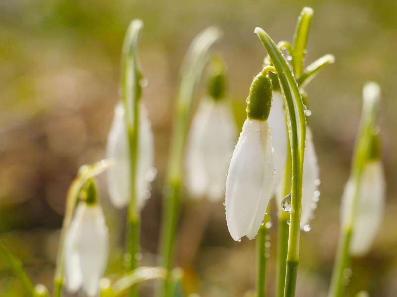 Aktuell &ndash; Ausgabe 385 vom 12. M&auml;rz 2026