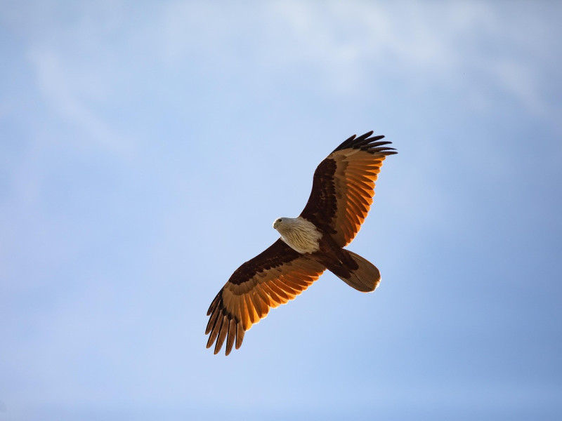 Aktuell &ndash; Ausgabe 386 vom 19. M&auml;rz 2026