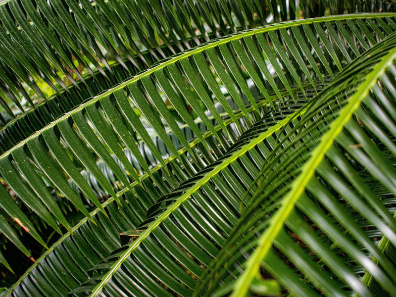 Aktuell &ndash; Ausgabe 387 vom 26. M&auml;rz 2026