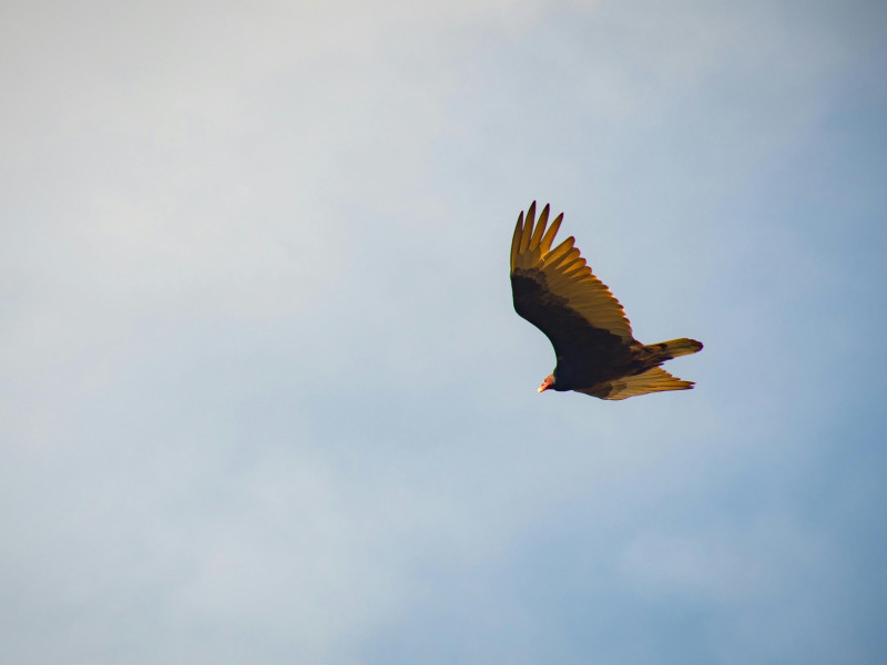 Aktuell – Ausgabe 364 vom 25. September 2025